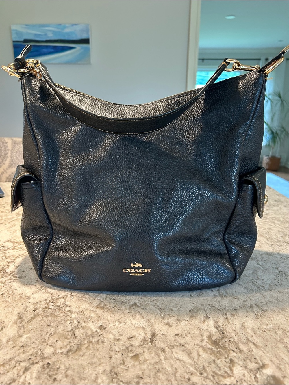 Coach Black Pebbled Leather Shoulder Hobo with Gold Hardware - Picture 1 of 14